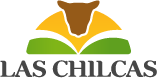 99575_534-las-chilcas-logo